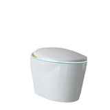 Unique Smart Toile, One Piece Toilet with Bidet Built
