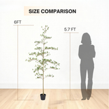 6ft Artificial Olive Tree, Realistic Faux Potted Plant in Black Pot, Indoor & Co
