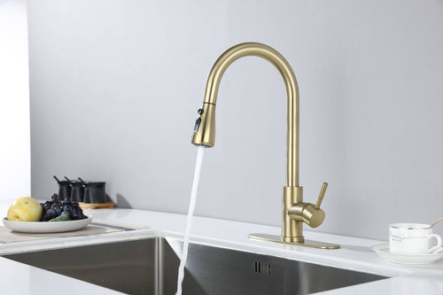 Kitchen Faucet Pull Out Sprayer Chrome