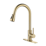 Single Handle Stainless Steel Kitchen Sink Faucet Pull Down