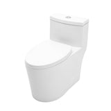 Ceramic One Piece Toilet for Bathroom, 12-inch Rough-In, 1.1/1.6 GPF