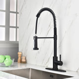 Kitchen Faucet Pull Out Sprayer