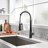 Black Kitchen Sink Faucet with Pull Down Sprayer