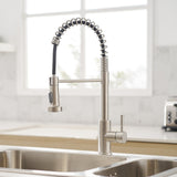 Brushed Nickel Kitchen Faucet Pull Out Sprayer Single Handle