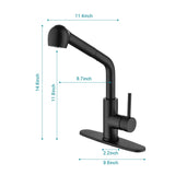 Single Handle Kitchen Sink Faucet With Pull Out Sprayer