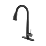 Single Handle Stainless Steel Kitchen Sink Faucet Pull Down Sprayer