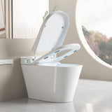 Unique Smart Toile, One Piece Toilet with Bidet Built