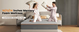 25382989