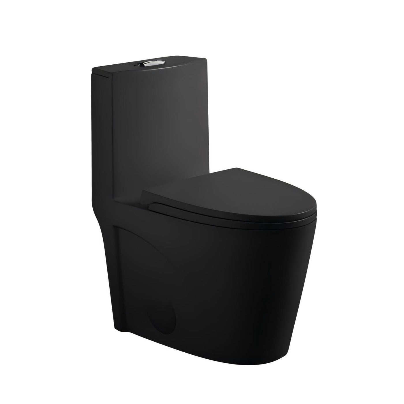 Matte Black One-Piece Toilet Dual Flush ADA Comfort Height