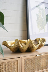 19.7x10.6x5.5' Decorative Shell Bowl
