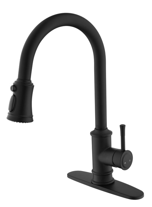 Kitchen Faucet with Pull Out Sprayer