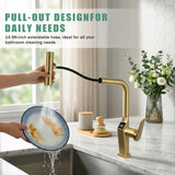 25629243