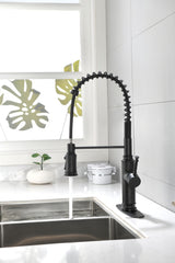 Single Handle Pull Down Kitchen Sink Faucet with Sprayer