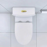 Elongated One Piece Toilet White
