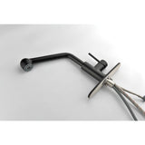 Single Handle Kitchen Sink Faucet With Pull Out Sprayer