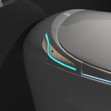 24391738