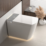 Modern integrated Smart toilet, Auto Open/Close lid, temperature heating seat...