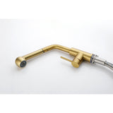 Single Handle Kitchen Sink Faucet Pull Out Sprayer