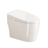 Unique Smart Toile, One Piece Toilet with Bidet Built