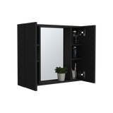 Medicine Cabinet - Double Door - Mirror - Black - 20.1"W x 22.8"H