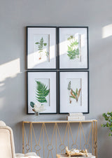 Botanical Black and White Fern Wall Art Set of 4 20x28