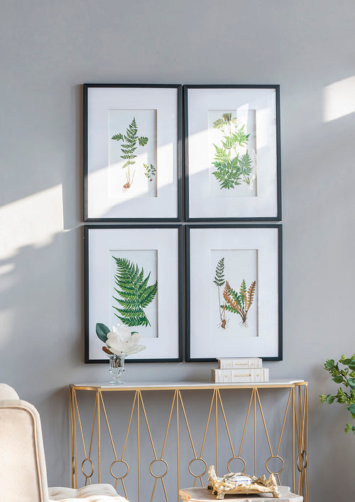 Botanical Black and White Fern Wall Art Set of 4 20x28