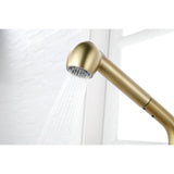 Single Handle Kitchen Sink Faucet Pull Out Sprayer