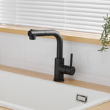 Black Kitchen Faucet with Pull Out Sprayer and Bar Prep