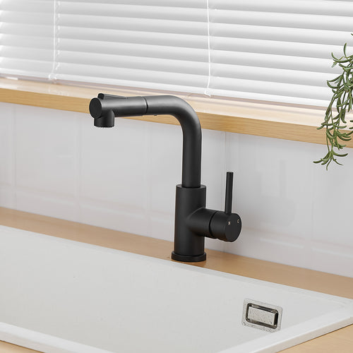 Black Kitchen Faucet with Pull Out Sprayer and Bar Prep