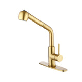 Single Handle Kitchen Sink Faucet Pull Out Sprayer