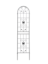 25557754
