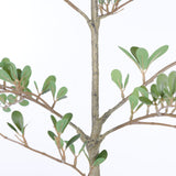 6ft Artificial Olive Tree, Realistic Faux Potted Plant in Black Pot, Indoor & Co