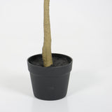 6ft Artificial Olive Tree, Realistic Faux Potted Plant in Black Pot, Indoor & Co