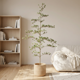 6ft Artificial Olive Tree, Realistic Faux Potted Plant in Black Pot, Indoor & Co