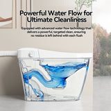 Unique Smart Toile, One Piece Toilet with Bidet Built