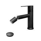 Single Handle Bathroom Sink Faucet with Pop-Up Drain