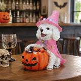 Halloween White Teddy Puppy Figurine, Witch Dog Holding Pumpkin Candy Bowl Decor