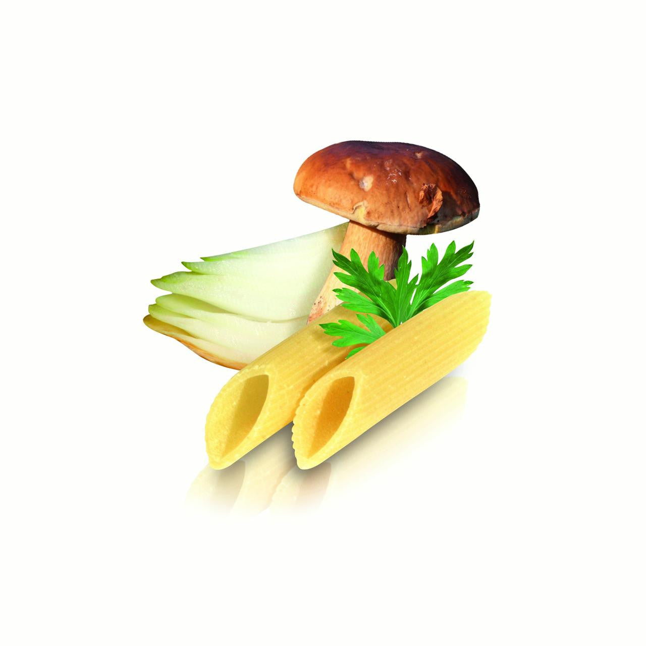 DECECCO PENNE RIGATE #41 ( 12 X 16 OZ   )-1