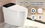 Smart Toilets with Heated Bidet Seat.Portable toilet