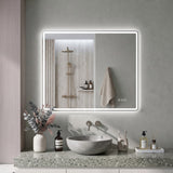 24" W x 32" H Rectangular Front-Lighted and Backlit LED Bathroom Mirror