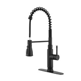 Single Handle Pull Down Kitchen Sink Faucet with Sprayer