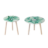 Set of 2 Side Tables
