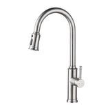 Kitchen Faucet with Pull Out Sprayer