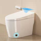 Unique Smart Toile, One Piece Toilet with Bidet Built