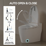 Unique Smart Toile, One Piece Toilet with Bidet Built