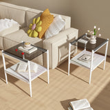 Set of 2 Rectangle End Tables with Tempered Glass Top