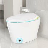 Unique Smart Toile, One Piece Toilet with Bidet Built