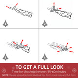 26643751