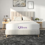 25381792