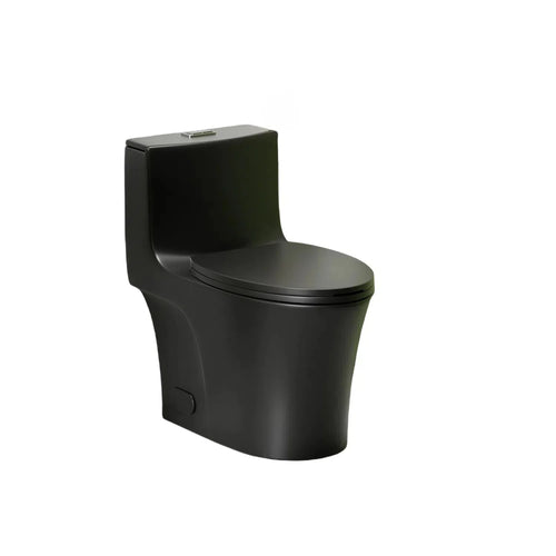 Matte Black One-Piece Toilet Dual Flush Soft Close ADA 17